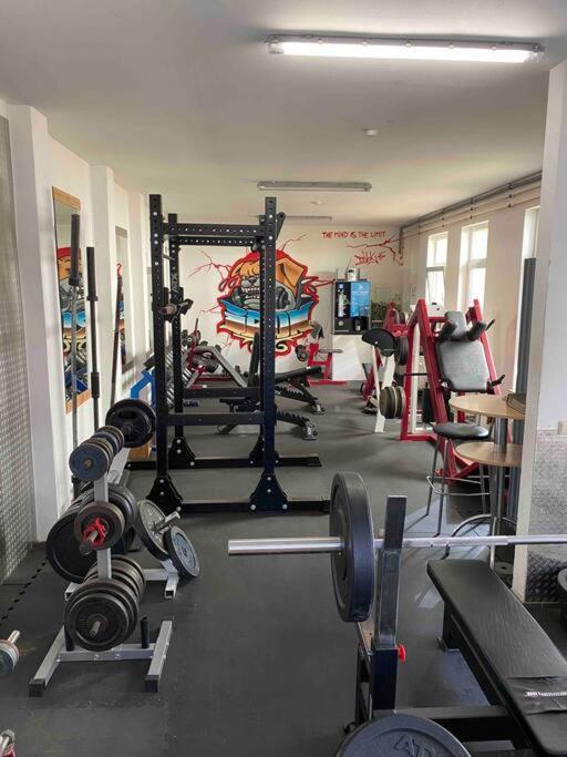Ferienwohnung Mit Fitnessstudio Top1 Plauen Kültér fotó